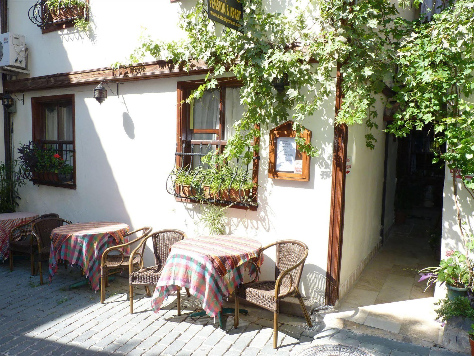 Otel Camel & 3*